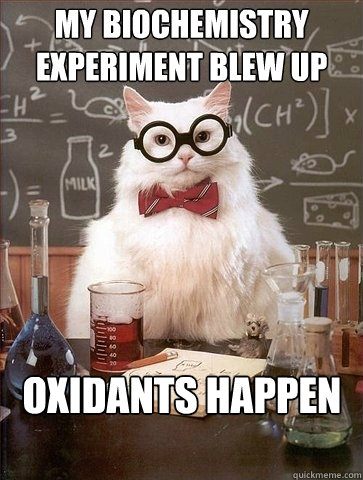 my biochemistry experiment Blew up Oxidants happen  Chemistry Cat