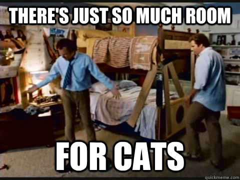 There's just so much room for cats  step brothers