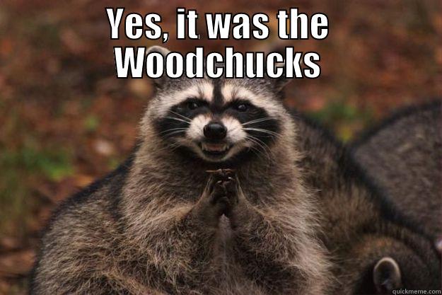 My plan to take over the world has started - YES, IT WAS THE WOODCHUCKS  Evil Plotting Raccoon