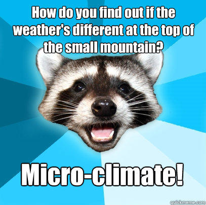 How do you find out if the weather's different at the top of the small mountain? Micro-climate! - How do you find out if the weather's different at the top of the small mountain? Micro-climate!  Lame Pun Coon