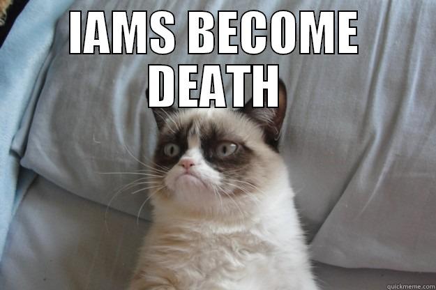 IAMS BECOME DEATH  Grumpy Cat