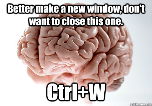 Better make a new window, don't want to close this one. Ctrl+W - Better make a new window, don't want to close this one. Ctrl+W  Scumbag Brain