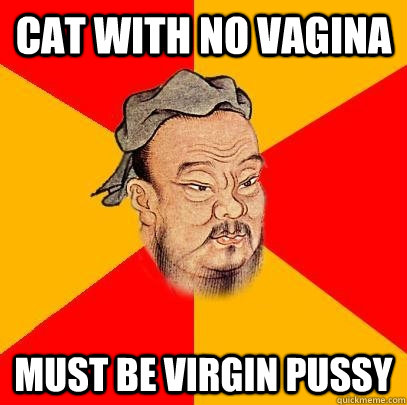 cat with no vagina must be virgin pussy - cat with no vagina must be virgin pussy  Confucius says