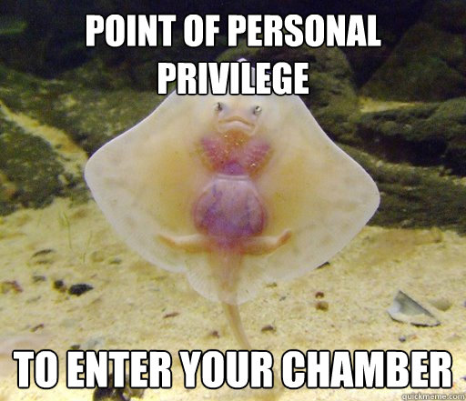 Point of personal privilege To enter your chamber  