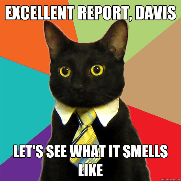 excellent report, davis let's see what it smells like  Business Cat