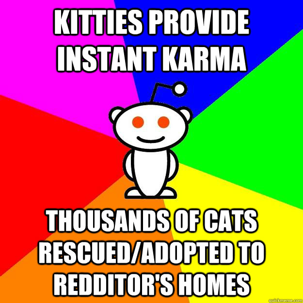 Kitties provide instant karma Thousands of cats rescued/adopted to Redditor's homes  Reddit Alien