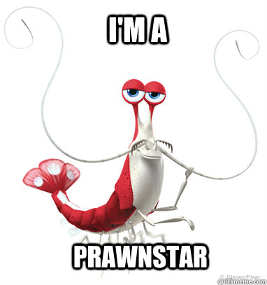 I'm a prawnstar  Gay Prawn