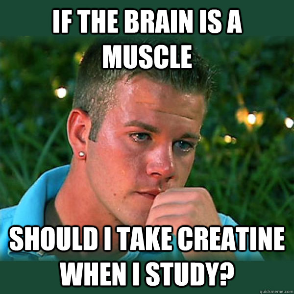 If the brain is a muscle should i take creatine when i study?  Bro Thoughts