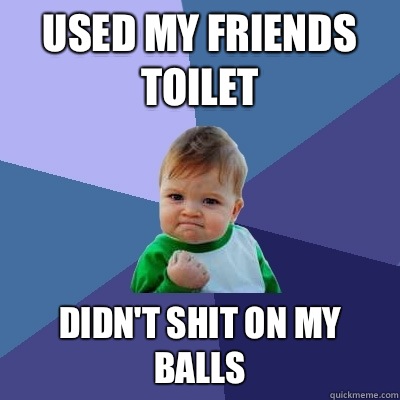 used my friends  toilet didn't shit on my balls  Success Kid