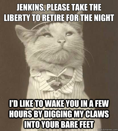 Jenkins, please take the liberty to retire for the night I'd like to wake you in a few hours by digging my claws into your bare feet  Aristocat