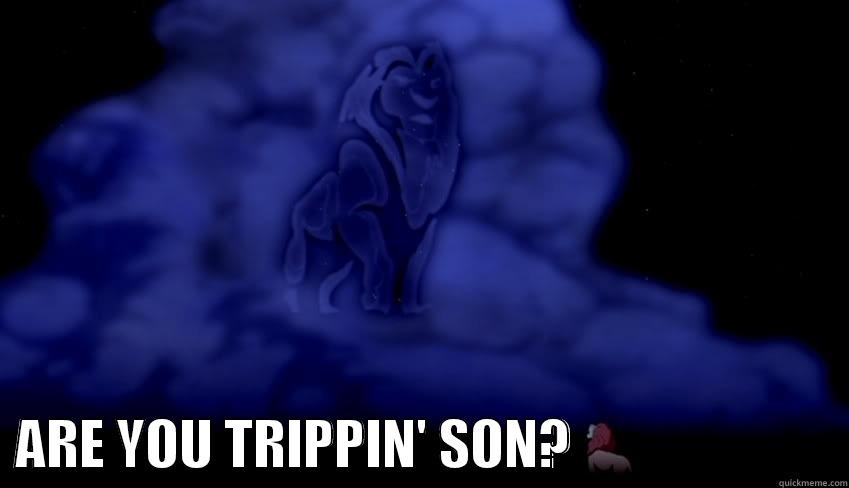                           ARE YOU TRIPPIN' SON?                         Misc