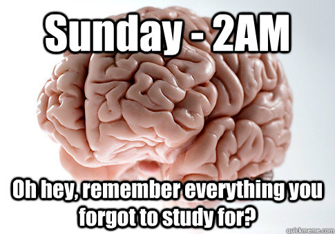 Sunday - 2AM Oh hey, remember everything you forgot to study for? - Sunday - 2AM Oh hey, remember everything you forgot to study for?  Scumbag Brain