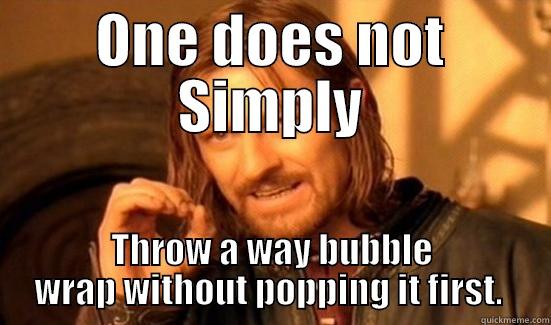 ONE DOES NOT SIMPLY THROW A WAY BUBBLE WRAP WITHOUT POPPING IT FIRST.  Boromir