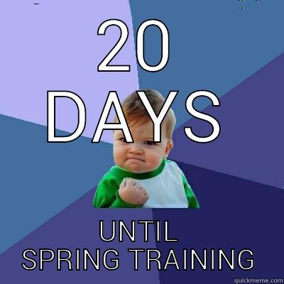 Baseball's Coming..... - 20 DAYS UNTIL SPRING TRAINING Success Kid