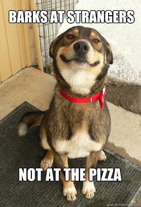 Barks at Strangers not at the pizza guy,is form italia!!  Good Dog Greg