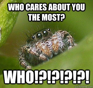 Who cares about you the most? WHO!?!?!?!?! - Who cares about you the most? WHO!?!?!?!?!  Misunderstood Spider