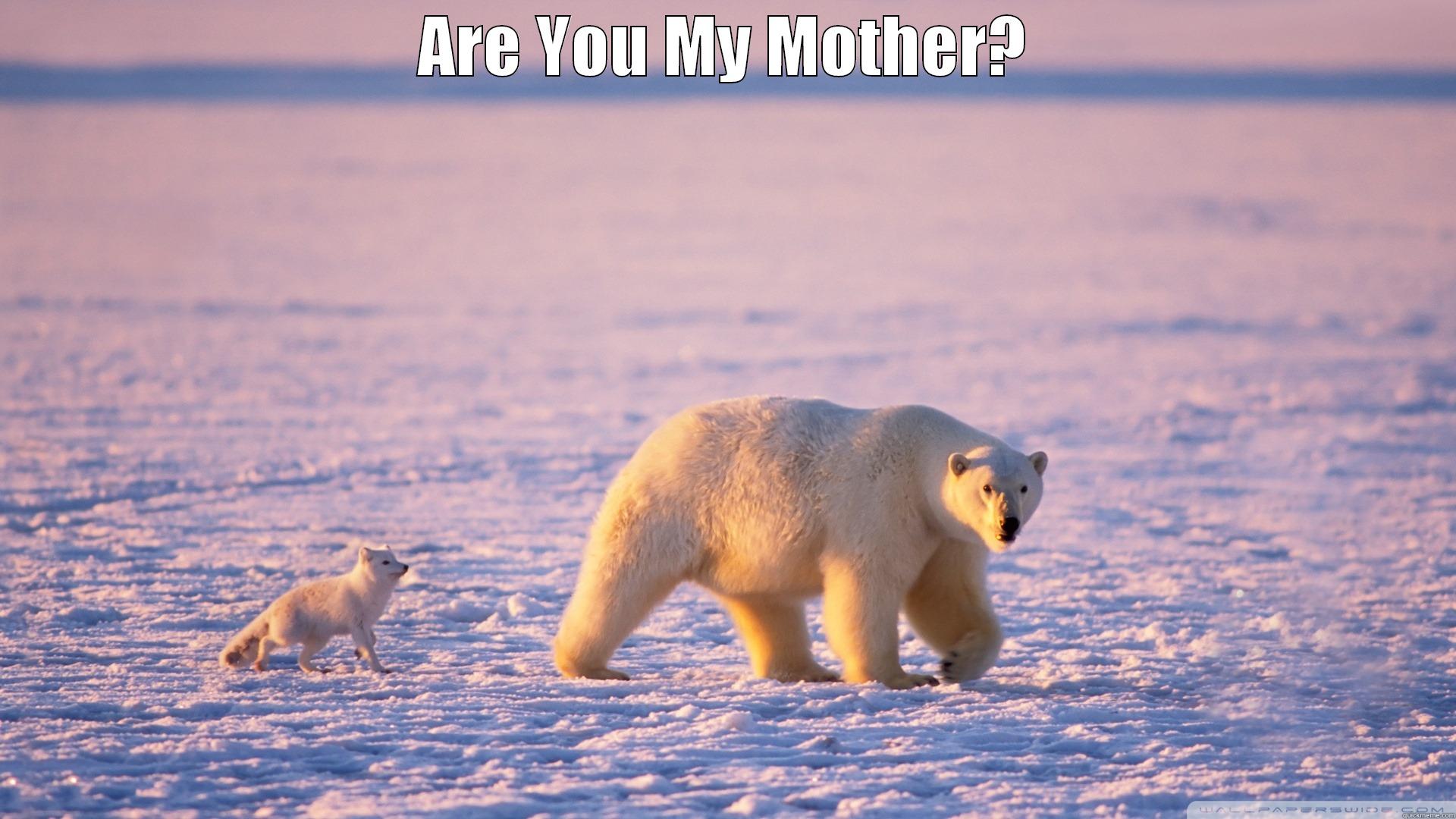 Are You My Mother? - ARE YOU MY MOTHER?  Misc