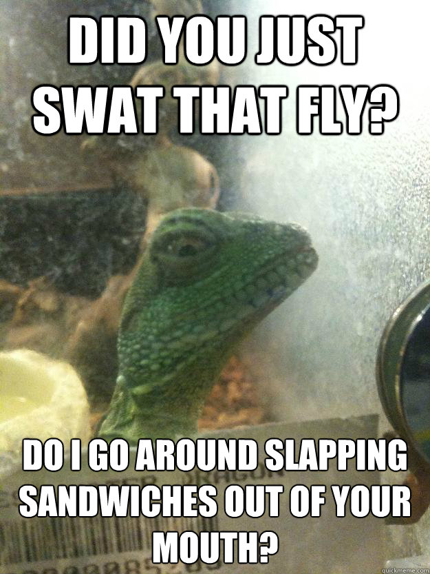 did you just swat that fly? do I go around slapping sandwiches out of your mouth?  Leery Lizard