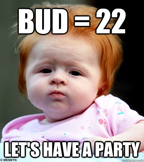 BUD = 22 let's have a party - BUD = 22 let's have a party  Misc