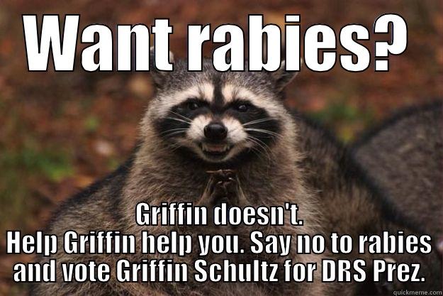 WANT RABIES? GRIFFIN DOESN'T. HELP GRIFFIN HELP YOU. SAY NO TO RABIES AND VOTE GRIFFIN SCHULTZ FOR DRS PREZ. Evil Plotting Raccoon