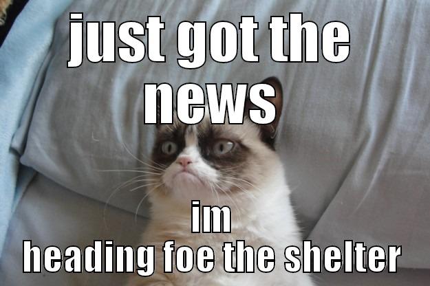 shelter cat - JUST GOT THE NEWS IM HEADING FOE THE SHELTER Grumpy Cat