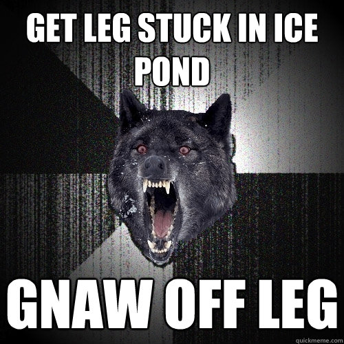 get leg stuck in ice pond gnaw off leg  Insanity Wolf