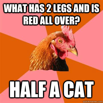 What has 2 legs and is red all over? Half a cat  Anti-Joke Chicken