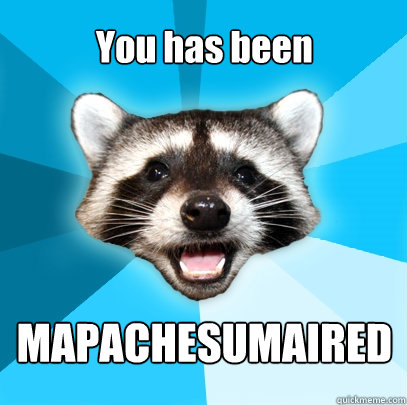 You has been MAPACHESUMAIRED - You has been MAPACHESUMAIRED  Lame Pun Coon