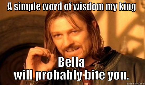 bella throne - A SIMPLE WORD OF WISDOM MY KING BELLA WILL PROBABLY BITE YOU. Boromir