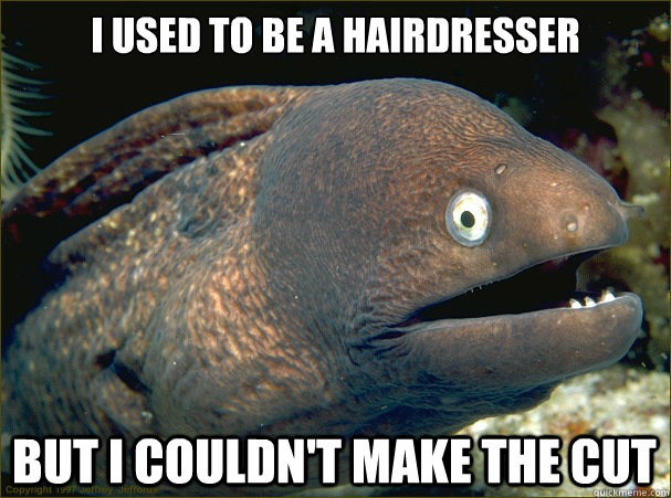 i used to be a hairdresser but i couldn't make the cut - i used to be a hairdresser but i couldn't make the cut  Bad Joke Eel