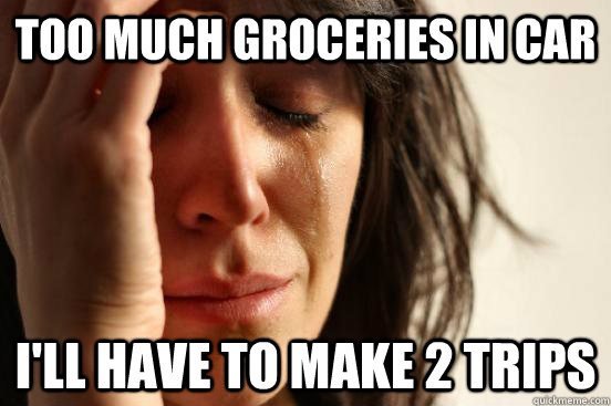 too much groceries in car i'll have to make 2 trips  First World Problems