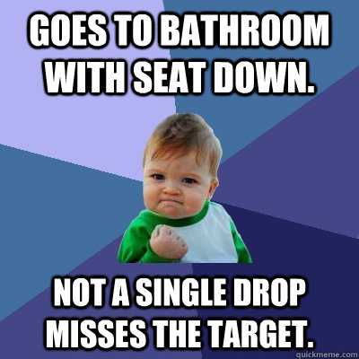 Goes to bathroom with seat down. not a single drop misses the target.  Success Kid