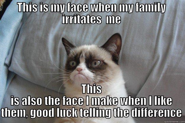 THIS IS MY FACE WHEN MY FAMILY IRRITATES  ME THIS IS ALSO THE FACE I MAKE WHEN I LIKE THEM, GOOD LUCK TELLING THE DIFFERENCE Grumpy Cat