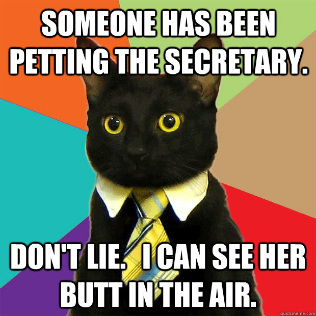 Someone has been petting the secretary. Don't lie.   I can see her butt in the air.  Business Cat