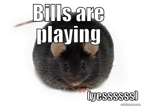 BILLS ARE PLAYING                                                  (YESSSSSS) Misc