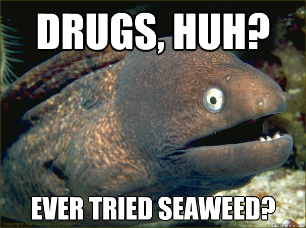 Drugs, huh? Ever tried seaweed? - Drugs, huh? Ever tried seaweed?  Bad Joke Eel