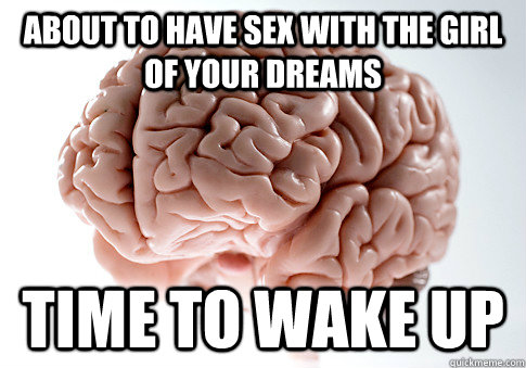 About to have sex with the girl of your dreams time to wake up  Scumbag Brain