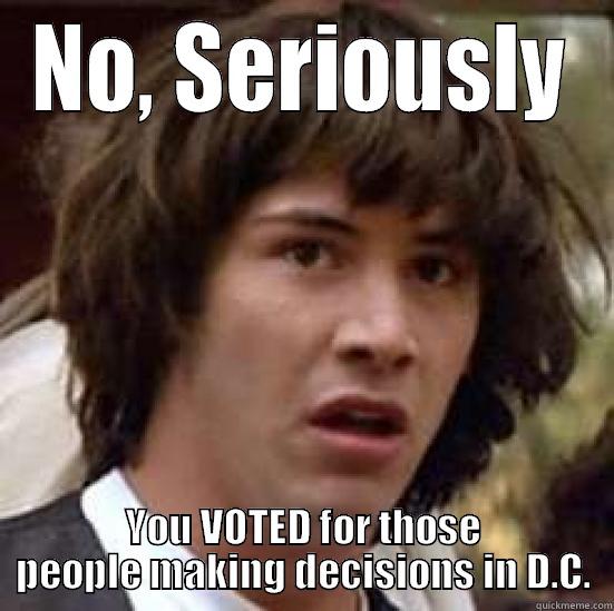 NO, SERIOUSLY YOU VOTED FOR THOSE PEOPLE MAKING DECISIONS IN D.C. conspiracy keanu