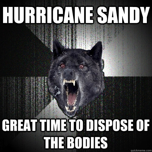 Hurricane sandy great time to dispose of the bodies  Insanity Wolf