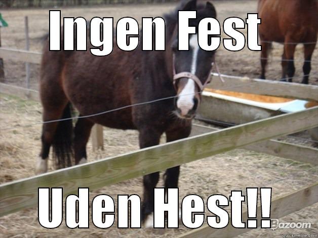 INGEN FEST UDEN HEST!! Ordinary Muslim Man