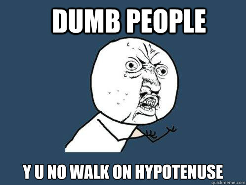 DUMB PEOPLE y u no walk on hypotenuse - DUMB PEOPLE y u no walk on hypotenuse  Y U No