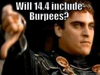 WILL 14.4 INCLUDE BURPEES?  Downvoting Roman