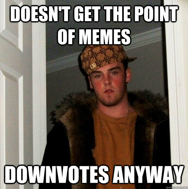 doesn't get the point of memes downvotes anyway  Scumbag Steve