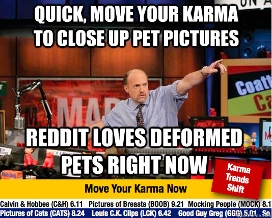 quick, move your karma to close up pet pictures reddit loves deformed pets right now - quick, move your karma to close up pet pictures reddit loves deformed pets right now  Mad Karma with Jim Cramer