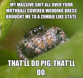 My massive shit all over your mothball covered wedding dress brought me to a zombie like state. That'll do pig, that'll do. - My massive shit all over your mothball covered wedding dress brought me to a zombie like state. That'll do pig, that'll do.  Misunderstood Spider