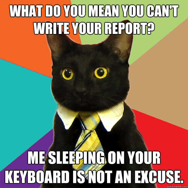 what do you mean you can't write your report? Me sleeping on your keyboard is NOT an excuse.  Business Cat