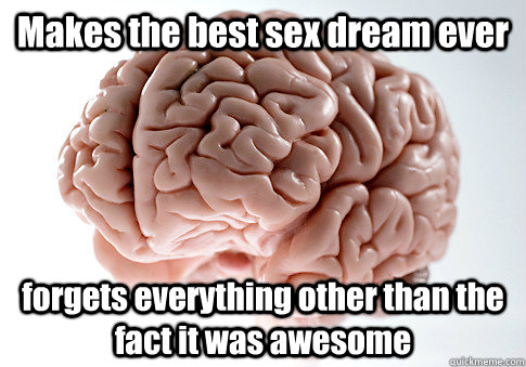 Makes the best sex dream ever forgets everything other than the fact it was awesome   Scumbag Brain