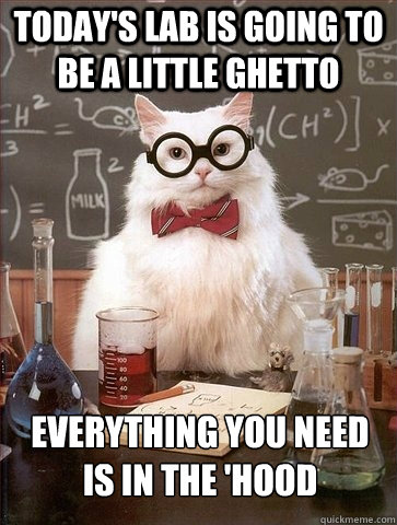 Today's lab is going to be a little ghetto Everything you need is in the 'hood  Chemistry Cat