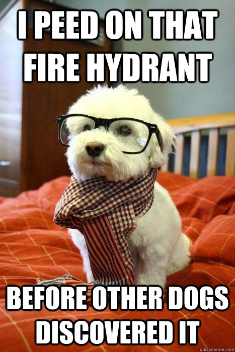 i peed on that fire hydrant before other dogs discovered it - i peed on that fire hydrant before other dogs discovered it  Hipsterdog