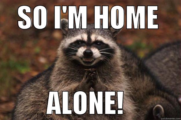 SO I'M HOME ALONE!  Evil Plotting Raccoon